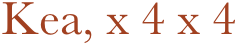 Kea, x 4 x 4